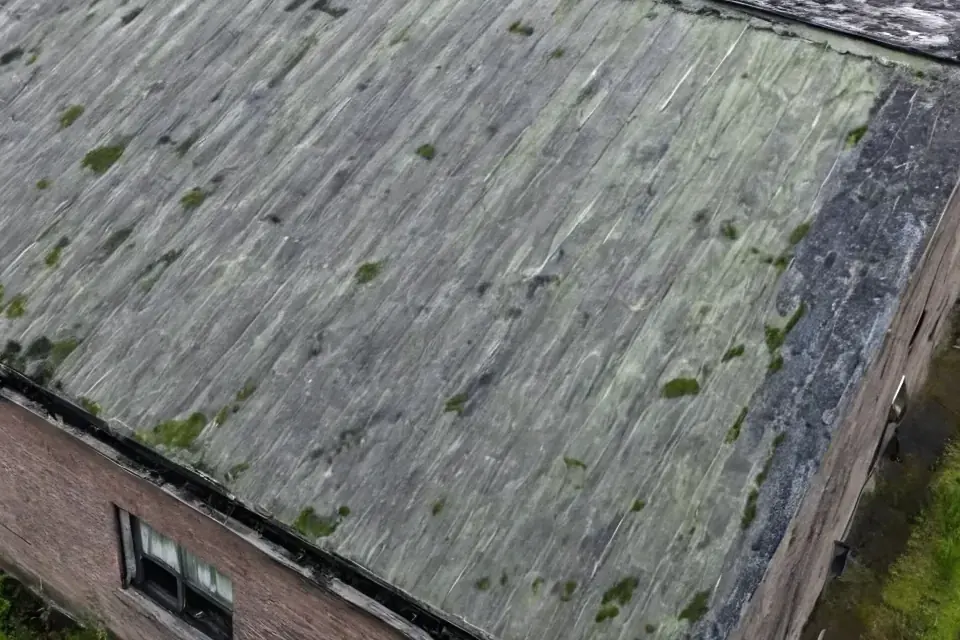 Detail van een verweerde asbestcementplaat met mos