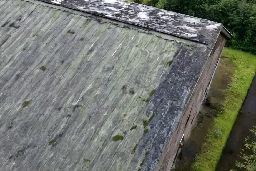 Bord d'une toiture en amiante-ciment avec de la mousse sur un hangar agricole